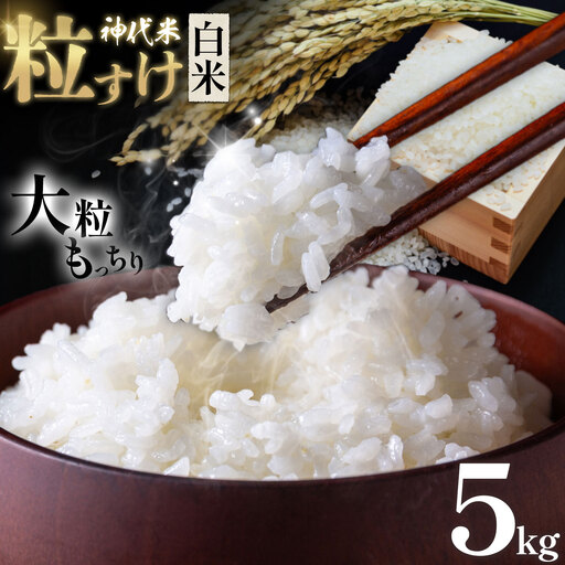 米 白米 神代米 粒すけ 令和7年産 5kg ぜん兵衛。