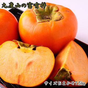 [柿の名産地]九度山の富有柿約7.5kgサイズおまかせ 