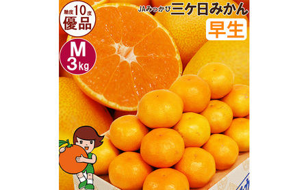 みかん 早生 Mサイズ3kg ミカン 果物 くだもの みかん