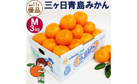 三ヶ日みかん 青島 優品 M 3kg 蜜柑 ミカン 果物 くだもの フルーツ 静岡 浜松市【配送不可：北海道・沖縄・離島】