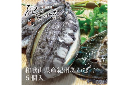 やわコリ食感紀州活アワビ 【5個入】◇｜海産物 海鮮 魚介類 鮑 おかず あわび 高級食材 養殖 国産 産地直送 鮮貝 美浜町