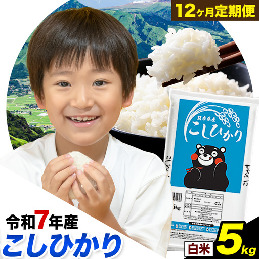 【12回定期便】白米 こしひかり5kg 定期便 精米 《お申込み翌月から出荷》