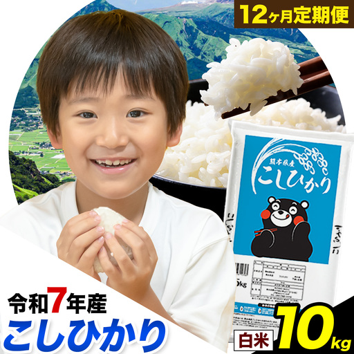 [12ヶ月定期便]令和7年産 定期便 こしひかり 白米 定期便 10kg 精米 熊本県産(南阿蘇村産含む) 南阿蘇村[お申込み翌月から出荷]|人気米 熊本県産米 生活応援米