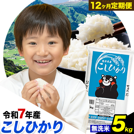 [12ヶ月定期便]令和7年産 定期便 こしひかり 無洗米 定期便 5kg 精米 熊本県産(南阿蘇村産含む) 南阿蘇村[お申込み翌月から出荷]|人気米 熊本県産米 生活応援米