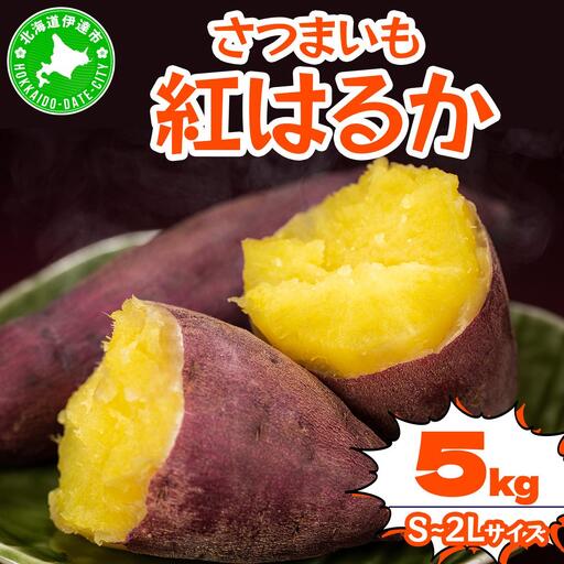 ＜先行予約＞《高糖度》さつまいも 紅はるか 5kg【55251148】