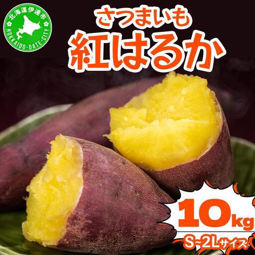 ＜先行予約＞《高糖度》さつまいも 紅はるか 10kg【55251150】