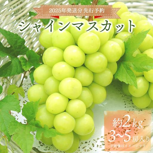 ＜2025年発送分 先行予約＞シャインマスカット（3房～5房 約2kg）【030-a011】