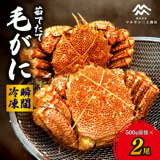 【茹でたて瞬間冷凍】毛ガニ 500g前後×2尾 北海道 札幌市 毛蟹