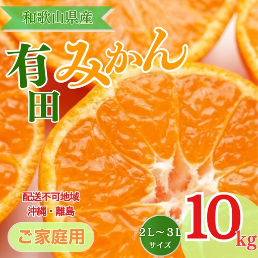 【先行予約】【ご家庭用】和歌山有田みかん約10kg(2L、3Lサイズ)〇  ｜ みかん