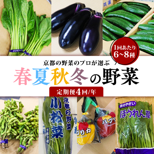 野菜のプロが選ぶ 京野菜 定期便 4回 6〜8種類 野菜
