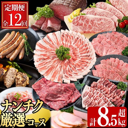 【定期便・全12回】ナンチクのお肉を楽しむ定期便！ナンチク厳選コース！ 総量8.5kg超! t0165-002