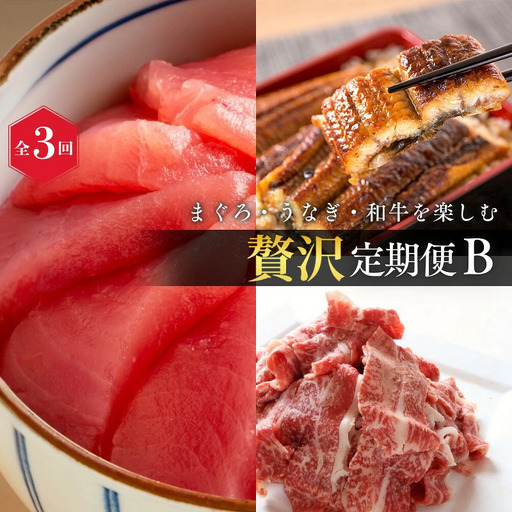 【定期便 全3回】紀州和歌山うまいもんセットB（生まぐろ・うなぎ蒲焼・熊野牛）【UT126】【Z91166-tkb387】