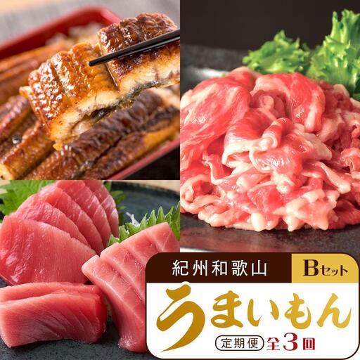 【定期便 全3回】紀州和歌山うまいもんセットB（生まぐろ・うなぎ蒲焼・熊野牛）【UT126】