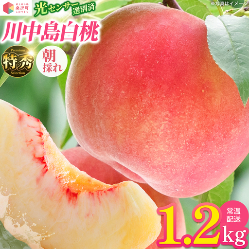 もも[川中島白桃・2026年産]特秀1.2kg 桑折町産 JAふくしま未来 桃 献上桃の郷 [07301-0227]