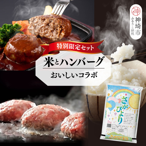 [2回定期便]特別限定セット さがびよりと佐賀牛ハンバーグ おいしいコラボ(H996P129)