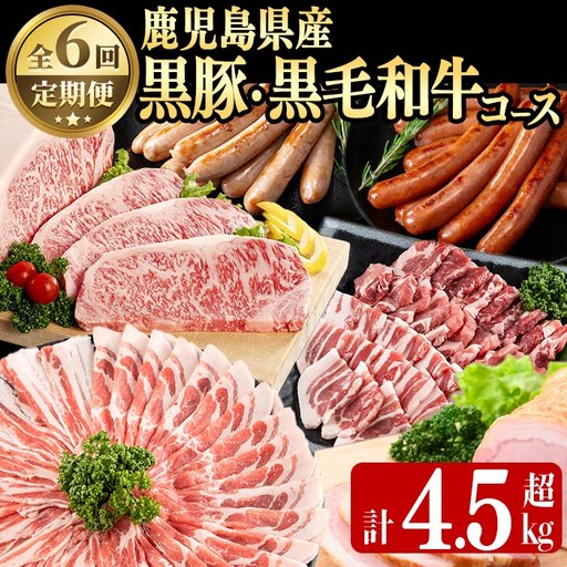 【定期便・全6回】鹿児島県産黒豚・黒毛和牛満喫コース！ 総量4.5kg超!  牛肉 豚肉 鹿児島県産 九州産 国産 黒毛和牛 ステーキ すきやき しゃぶしゃぶ 焼肉 BBQ ウインナー ソーセージ ハム ハムカツ 定期便 t0088-002