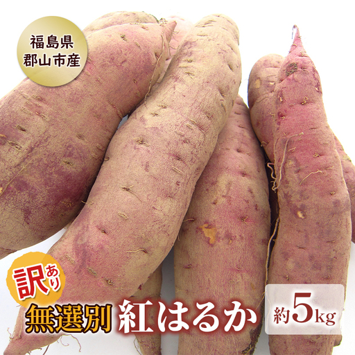 さつまいも 紅はるか 訳あり無選別 熟成 さつまいも【5kg】
