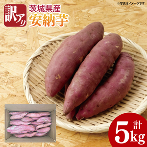 [先行予約][10月中旬以降より順次発送]訳アリ 茨城県産安納芋 約5kg|さつまいも 芋 サツマイモ 安納芋 訳あり わけあり 茨城県 取手市(AS004-1)