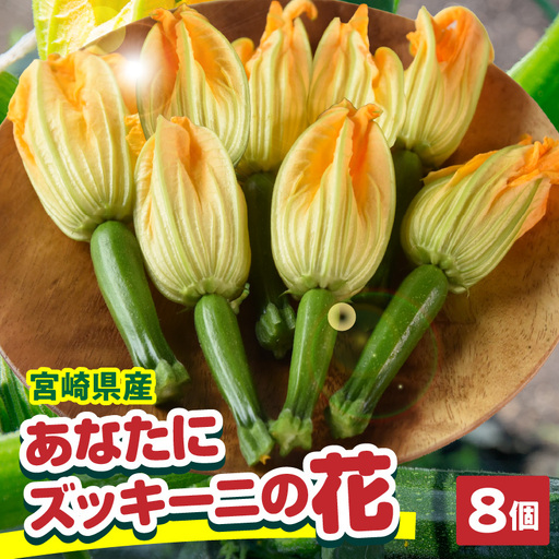 あなたにズッキーニの花 8個_kn109-002