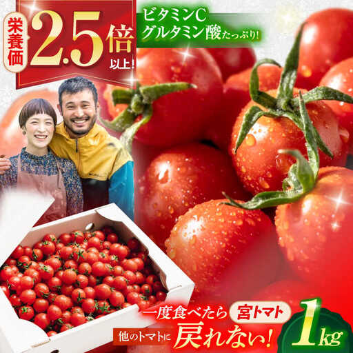 プチッと弾ける果汁「宮トマト」1kg /トマト とまと ミニトマト プチトマト 野菜 やさい / 諫早市 / [AHCG023]