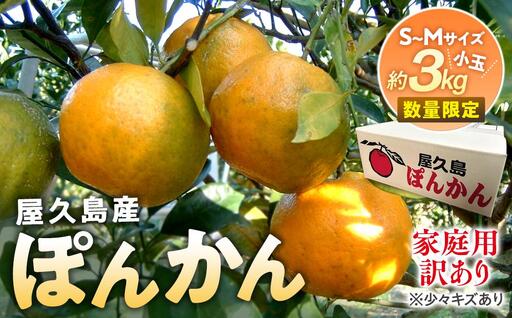 2026年 屋久島産 ぽんかん 家庭用 訳あり 約3kg 小玉(S～Mサイズ・少々キズあり)＜先行予約／数量限定＞｜ぽんかん