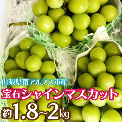 [2026年発送先行予約]完熟 宝石シャインマスカット約1.8〜2kg AL