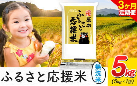 【3ヶ月定期便】米 無洗米 家庭用 熊本 ふるさと応援 定期便 5kg《お申込み翌月から出荷》