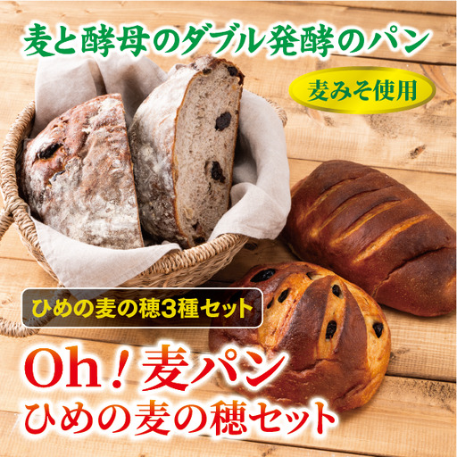 【愛媛県産大麦（はだか麦）使用】Ｏｈ！麦パン　ひめの麦の穂セット　パン　篠崎ベーカリー  詰め合わせ こだわり おすすめ 食べ比べ おやつ 朝ごはん 伊予市 老舗 | A75