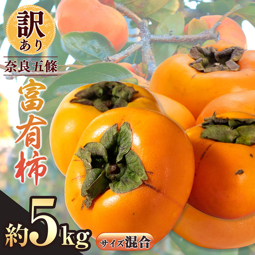 訳あり 富有柿 約5kg サイズおまかせ | フルーツ くだもの 果物 柿 かき カキ 奈良県 五條市