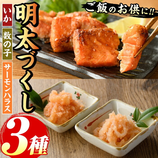ご飯のお供！明太づくしBセット(3種・数の子明太子/いか明太子/サーモンハラス明太漬) 明太 明太子 めんたい めんたいこ 海鮮 魚介 魚卵 かずのこ 数の子 いか イカ サーモン さけ サケ しゃけ シャケ 鮭 セット おかず おつまみ 晩酌 冷凍【マル五】as06-060