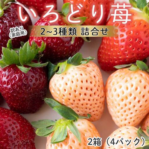 玄海町産いろどりいちご詰め合わせ（家庭用・訳あり）／ 訳ありいちご【B190】
