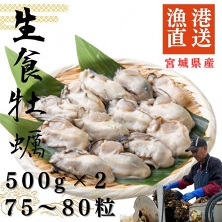 宮城県牡鹿半島産　鮮生牡蠣　500g×2_魚介・海産物 牡蠣（カキ） 貝 かき_【配送不可地域：離島・沖縄県・九州】【1550892】