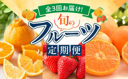 [定期便 全3回]紀州和歌山産旬のフルーツ定期便(田村みかん、いちご、紀州デコ)_G60-T77