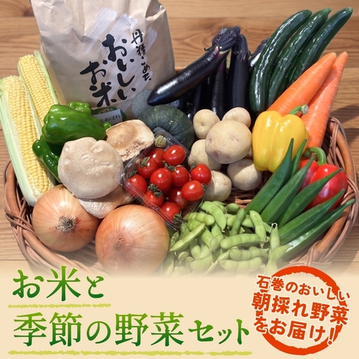 石巻産 お米と季節の野菜セット 朝採れ 旬の野菜 季節の野菜 お野菜 詰め合わせ 食材 新鮮