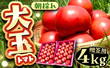 【2週間以内に発送！】 大玉トマト 2種 詰合せ 4kg [AUAH013]大玉トマト