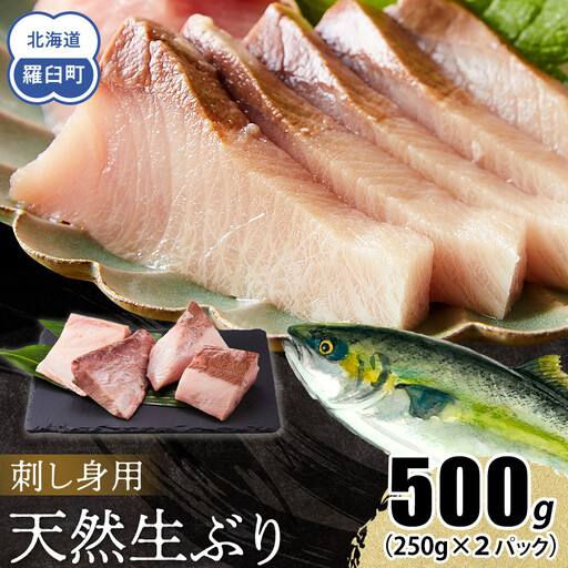 [2027年1月発送]北海道 知床羅臼産 天然ぶり刺身 500g (250g×2パック) ブリ小分け 酒の肴