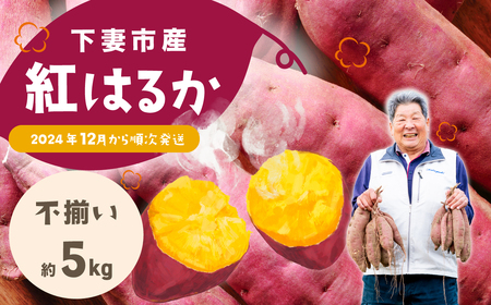 【 訳あり ( 不揃い )】 さつまいも 紅はるか 5kg 不揃いサイズ 茨城県下妻市産 【 紅はるか べにはるか さつまいも サツマイモ 甘薯 かんしょ 】 