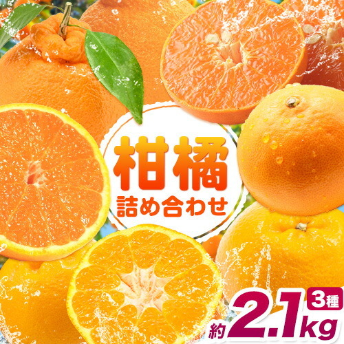 柑橘 食べ比べ 約2.1kg計3種入り 