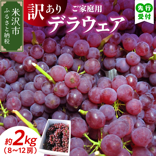 [先行予約][数量限定][令和9年産]家庭用 訳あり ぶどう デラウェア 2kg ( 8〜12房 ) 2027年8月20日〜9月20日頃お届け予定