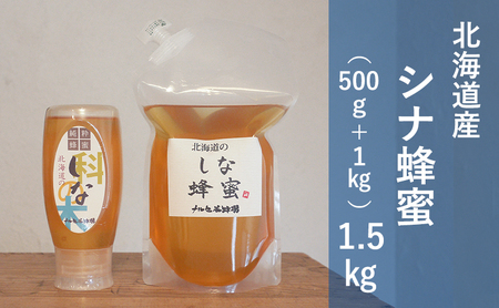 はちみつ 1kgパック＋500gチューブ 国産 シナ蜂蜜