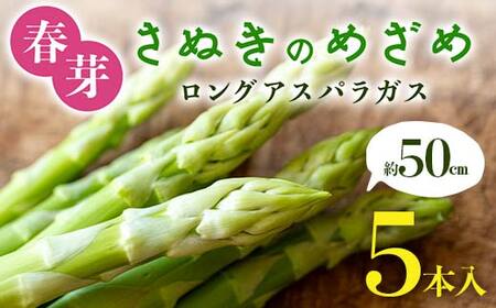 [先行予約2027年2月〜5月頃お届け]春芽 さぬきのめざめ 約50cmロングアスパラガス 5本入り アスパラ サラダ お弁当 おかず フレッシュ 新鮮 琴平 香川 F5J-761