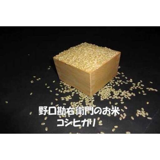 [8年産]野口勘右衛門のお米 「安心栽培米(コシヒカリ)」玄米10kg