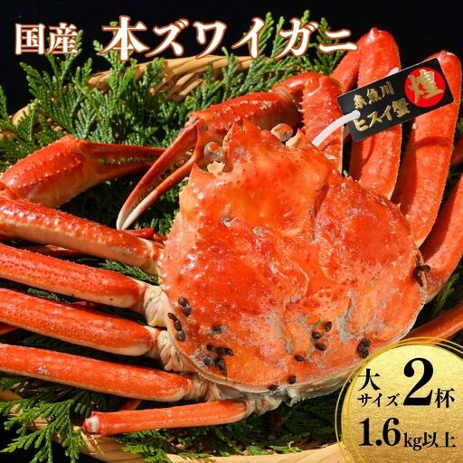 〈期間限定〉本ズワイガニ 大サイズ『煌めき』 800g超×2杯 計1.6kg超 姿 茹で蟹 糸魚川産 鮮度が命！茹でたて直送 ずわいがに かに 蟹 ヒスイ水産 国産 日本海 新潟 新鮮 タグ付き 800g超 11月から漁開始 ギフトにも おススメ カニ ヒスイ蟹