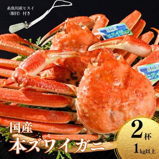 〈期間限定〉本ズワイガニ 500g以上×2杯 計1kg以上 《ヒスイ根付付き》 姿 茹で蟹 糸魚川産 鮮度が命！茹でたて直送 ずわいがに かに 蟹 ヒスイ水産 国産 日本海 新潟 新鮮 タグ付き 11月から漁開始 ギフトにも おススメ カニ ヒスイ蟹