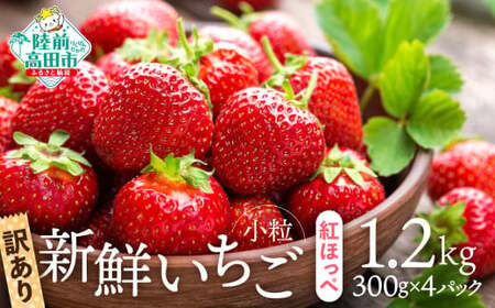 先行予約 【訳あり/小粒】新鮮いちご〈品種：紅ほっぺ〉 約1.2kg (300g×4パック) Happy Strawberry 旬の時期に収穫してすぐ発送！ 【 いちご フルーツ 旬 小分け 人気 岩手 陸前高田 】2025年2月中旬頃から順次発送 RT2656