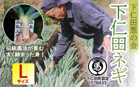 下仁田葱の会の下仁田葱（Lサイズ）とろける 甘い ネギ 王様 ねぎ 殿様ねぎ 特産 栄養たっぷり ブランド 上州ねぎ すきやき F21K-588