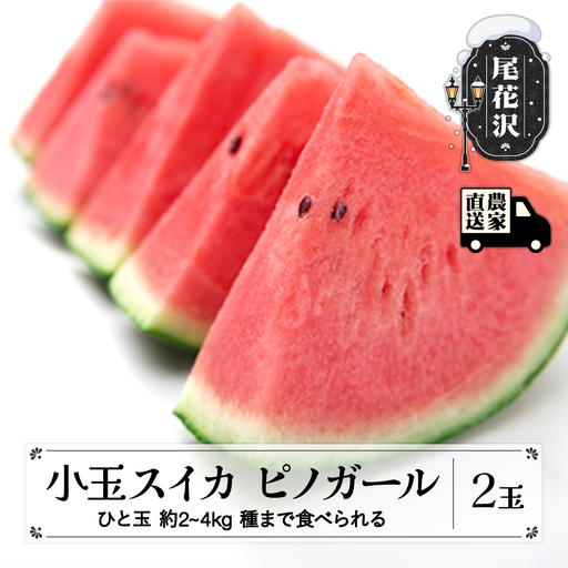 尾花沢産 小玉スイカ ピノガール (約2~2.5kg)×2玉 令和8年産 kb-supgx2