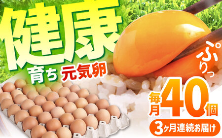 【6ヵ月定期便】元気卵 40個×6ヶ月 卵定期便 三重県 亀山市 AMBH005