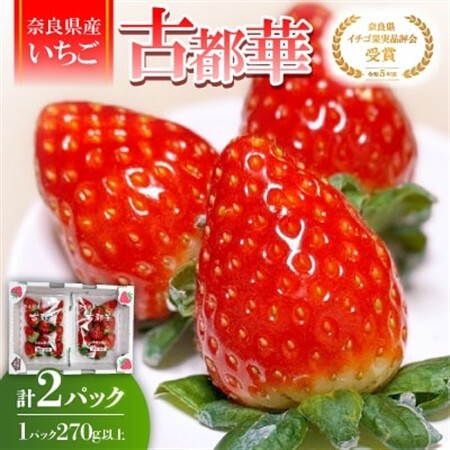 [2027年1月以降発送]奈良県産いちご「古都華」2パック_果物・フルーツ いちご イチゴ 苺_[配送不可地域:離島]