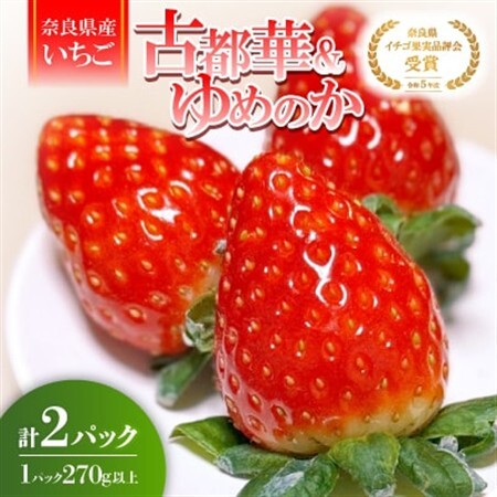 【2027年1月以降発送】奈良県産いちご「古都華」と「ゆめのか」の食べくらべ　合計2パック_果物・フルーツ いちご  イチゴ 苺_【配送不可地域：離島】【1556702】